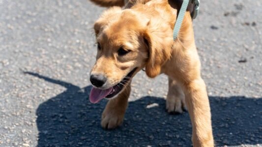 Some traditions don’t need explaining… they just need a crowd.